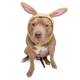 Zoo Snoods Jack Rabbit Costume dog snood: cozy knit warmth for pets.