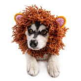 Zoo Snoods Lion Costume dog snood knit mane for cozy warmth