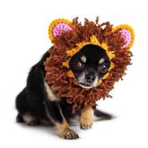 Zoo Snoods Lion Costume knit mane close-up on dog for cozy warmth.