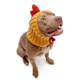 Zoo Snoods rooster-costume on-dog showcases cozy warmth for cold-weather outings