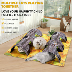 ZOOGUD cat play mat 2-way tunnel demonstrates safe exploration and exercise