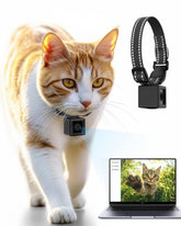 ZoomaraKam cat camera collar worn on a pet for daily video capture.