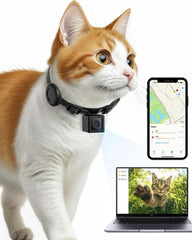 ZoomaraKam cat camera collar on pet for 1080p HD POV video recording