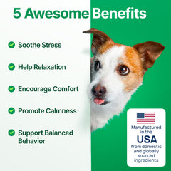 ZOOMEZEN dog calming chews soft texture aids simple daily dosing