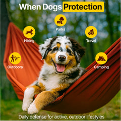 ZOOMEZEN salmon oil coat shine image hints at a glossy, healthy coat.