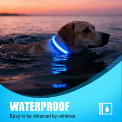 ZOWPET LED dog collar side view demonstrating extended visibility for evening strolls.