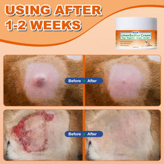 ZOXY Lime Sulfur Cream dog-paw-closeup shows topical treatment on irritated skin.