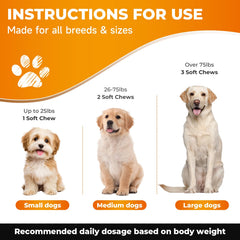 Zozdal Joint Supplement for Dogs turmeric panel signals natural anti-inflammatory notes for mobility.