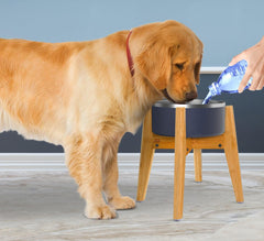ZPirates bamboo stand elevates bowls for comfortable neck posture during meals.