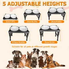ZTMT raised dog bowls for food and water promote comfortable eating posture.