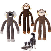 ZYBDP no-stuffing dog toy pack with squeaky head for interactive play
