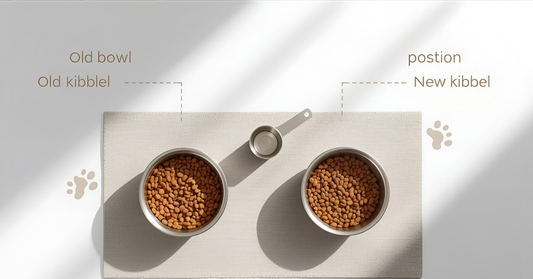 How to switch pet food safely in Canada with a 7-day transition plan