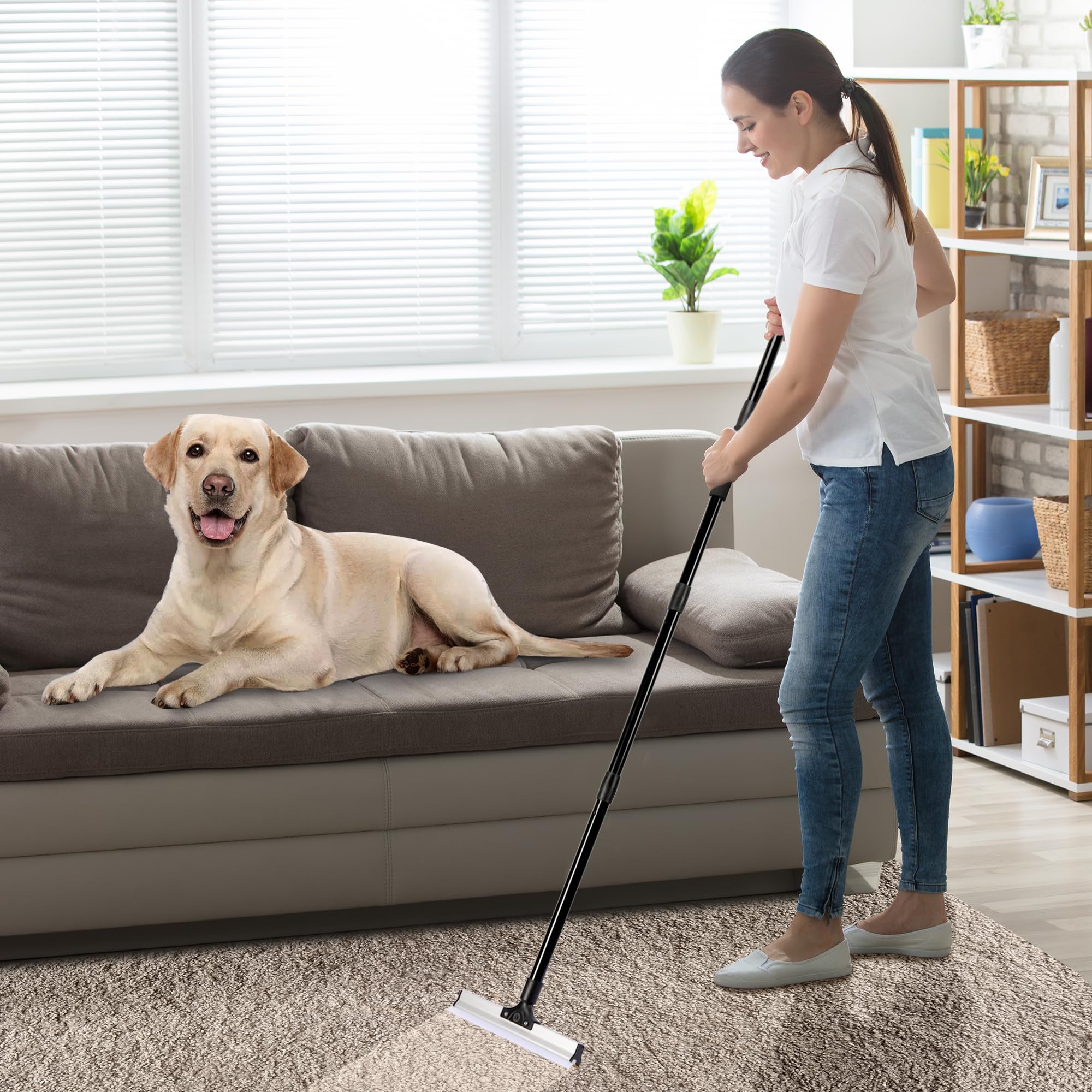 10 TO 6 PICKS effective on carpets, rugs, wood floors, and mats.