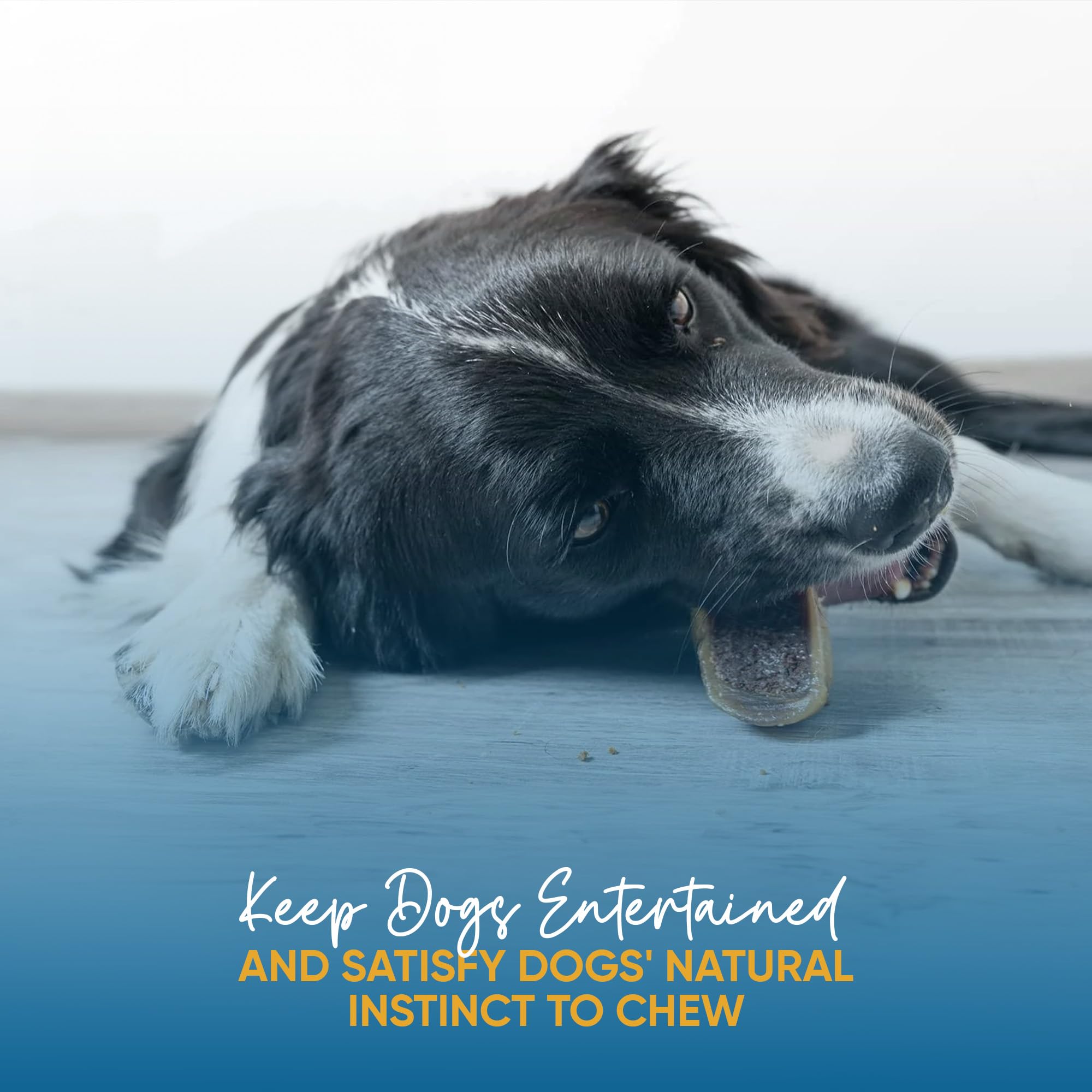 123 Treats bulk hooves image: budget-friendly chews for multi-pack households.