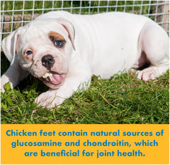 123 Treats chicken feet dog treats close-up shows natural ingredients