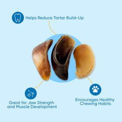 123 Treats natural beef hooves image: premium chews from grass-fed cattle.