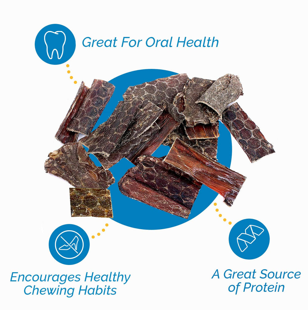 123 Treats natural dog chew packaging – convenient 1lb bag for daily treats.