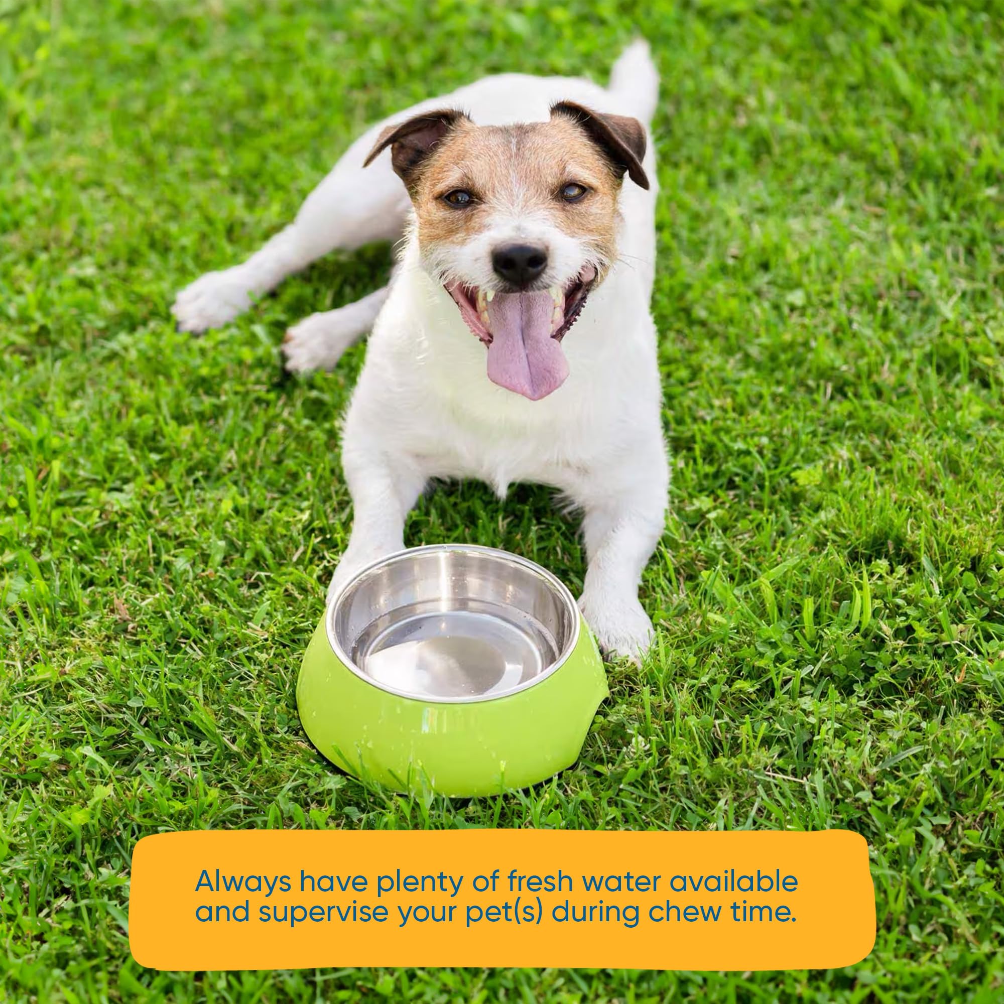 123 Treats odor-minimized roasted hooves image: cleaner chewing experience.