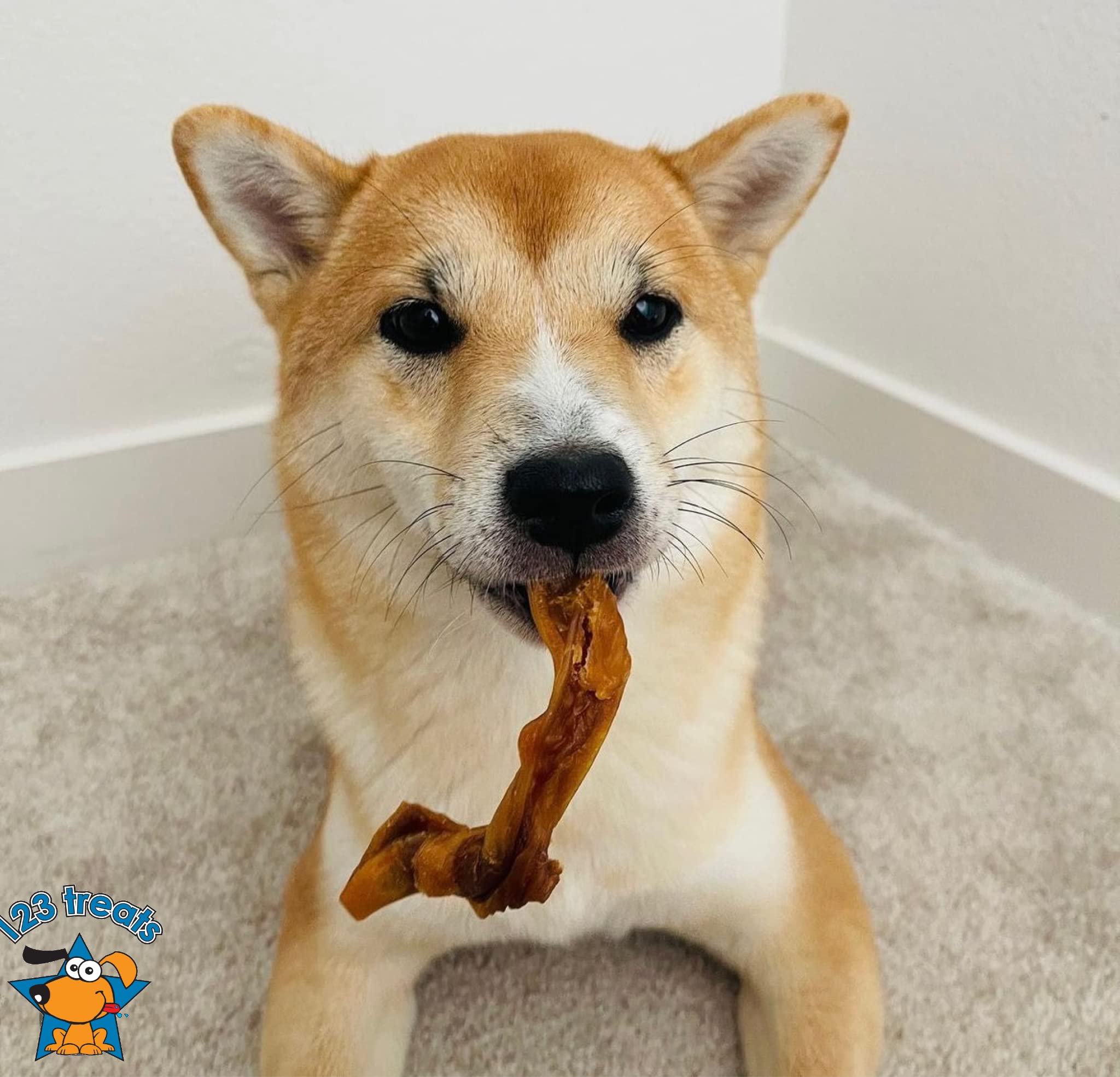 123 Treats pig ears 5lb bag happy-pup — hours of chew time for canine happiness.