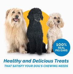 123 Treats pig ears 5lb bag open packaging — bulk chews for easy feeding and longer chew.