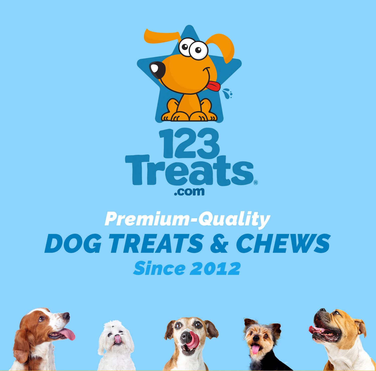123 Treats pig ears 5lb bag oven-baked Brazil — oven-baked in Brazil for a pure chew.