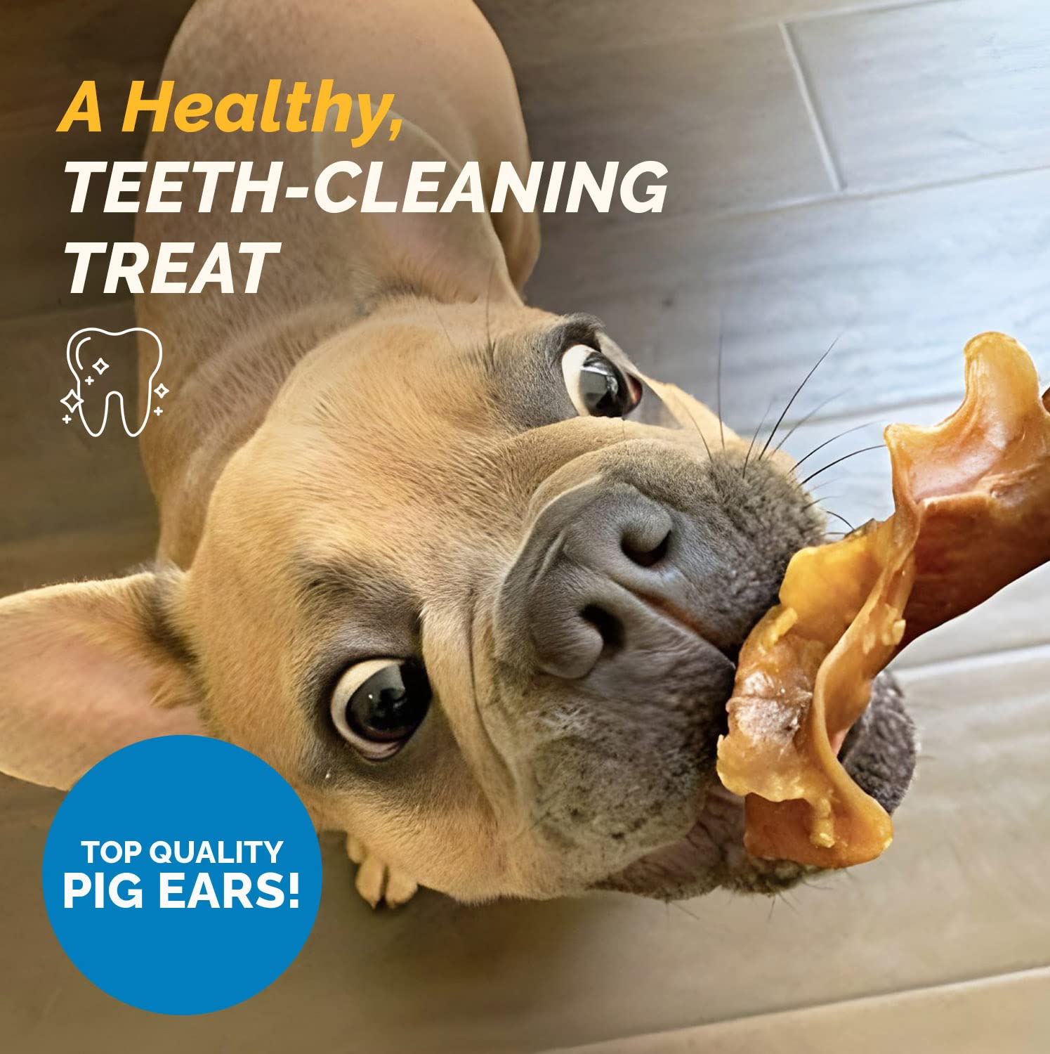 123 Treats pig ears 5lb bag soft-cartilage texture — gentle, safe chewing for sensitive mouths.