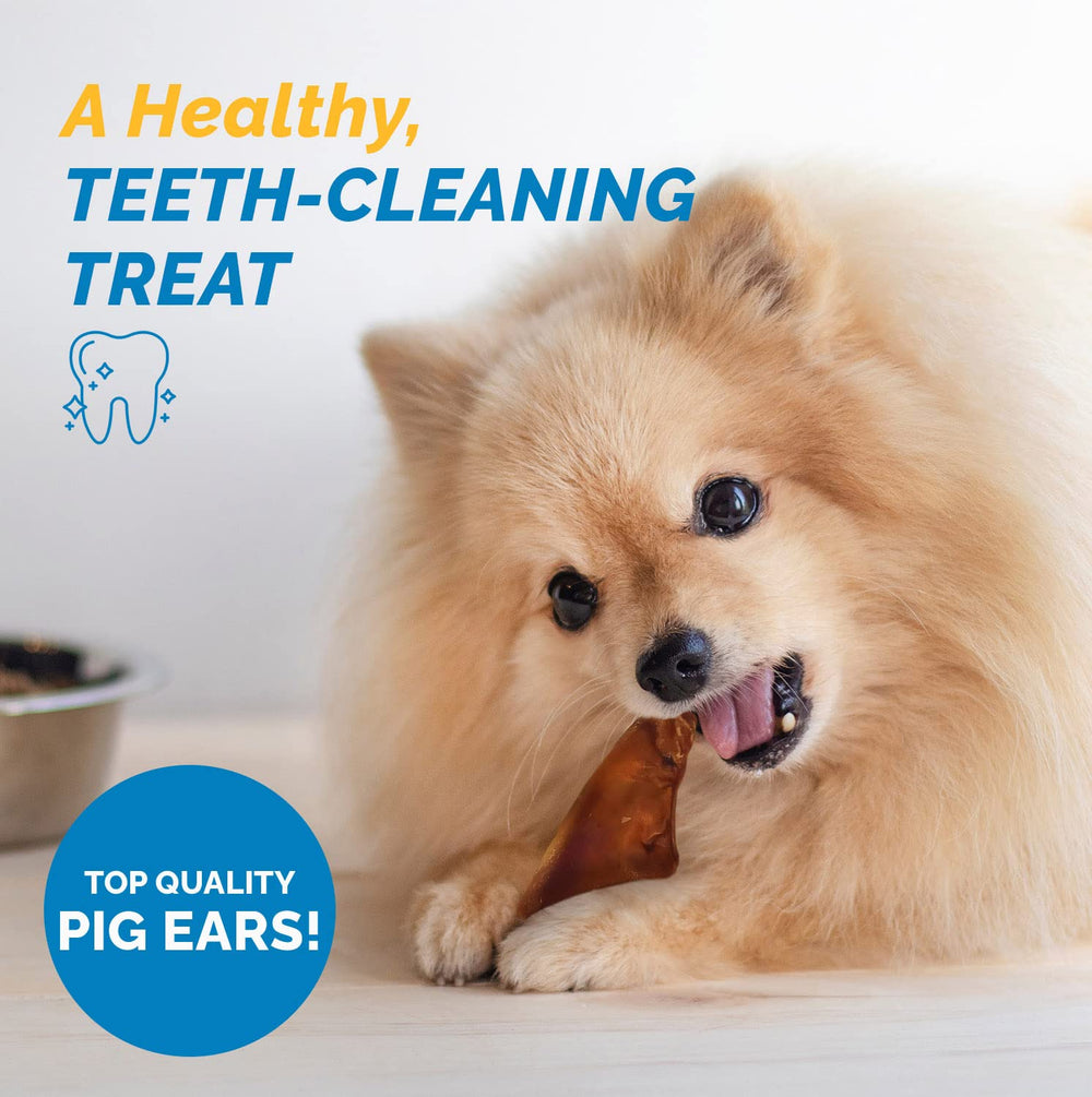 123 Treats pork dog chews pack open view conveying premium flavor.