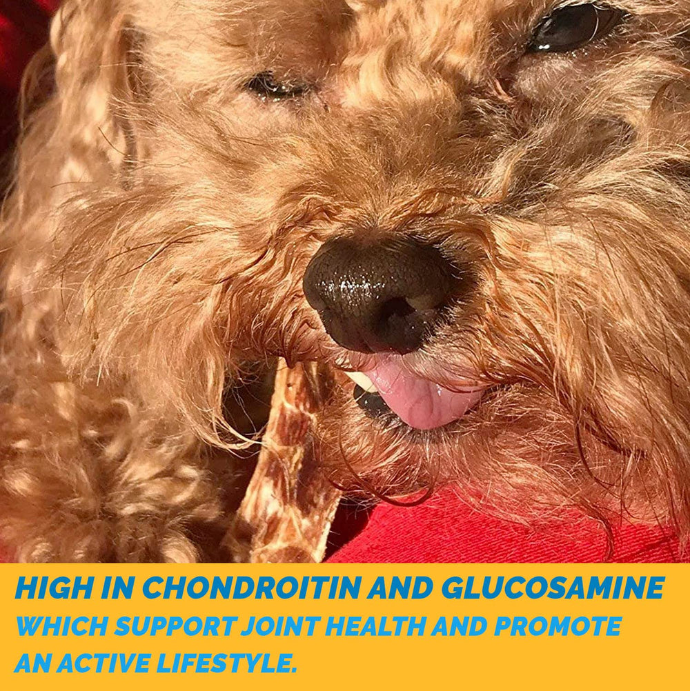 123 Treats single-ingredient chew – pure beef esophagus for dogs.