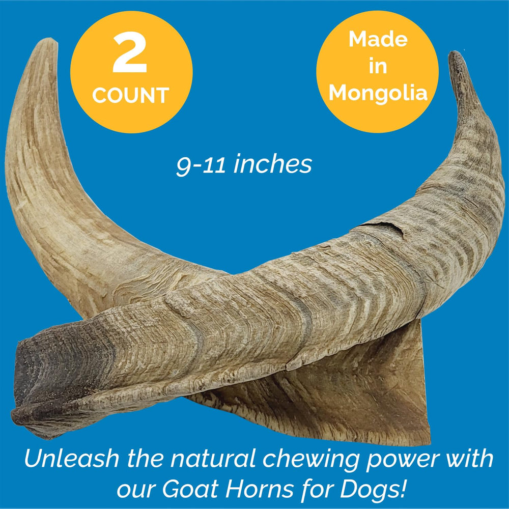 123 Treats air-dried goat horn close-up: natural chew supporting dental hygiene.