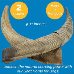 123 Treats air-dried goat horn close-up: natural chew supporting dental hygiene.