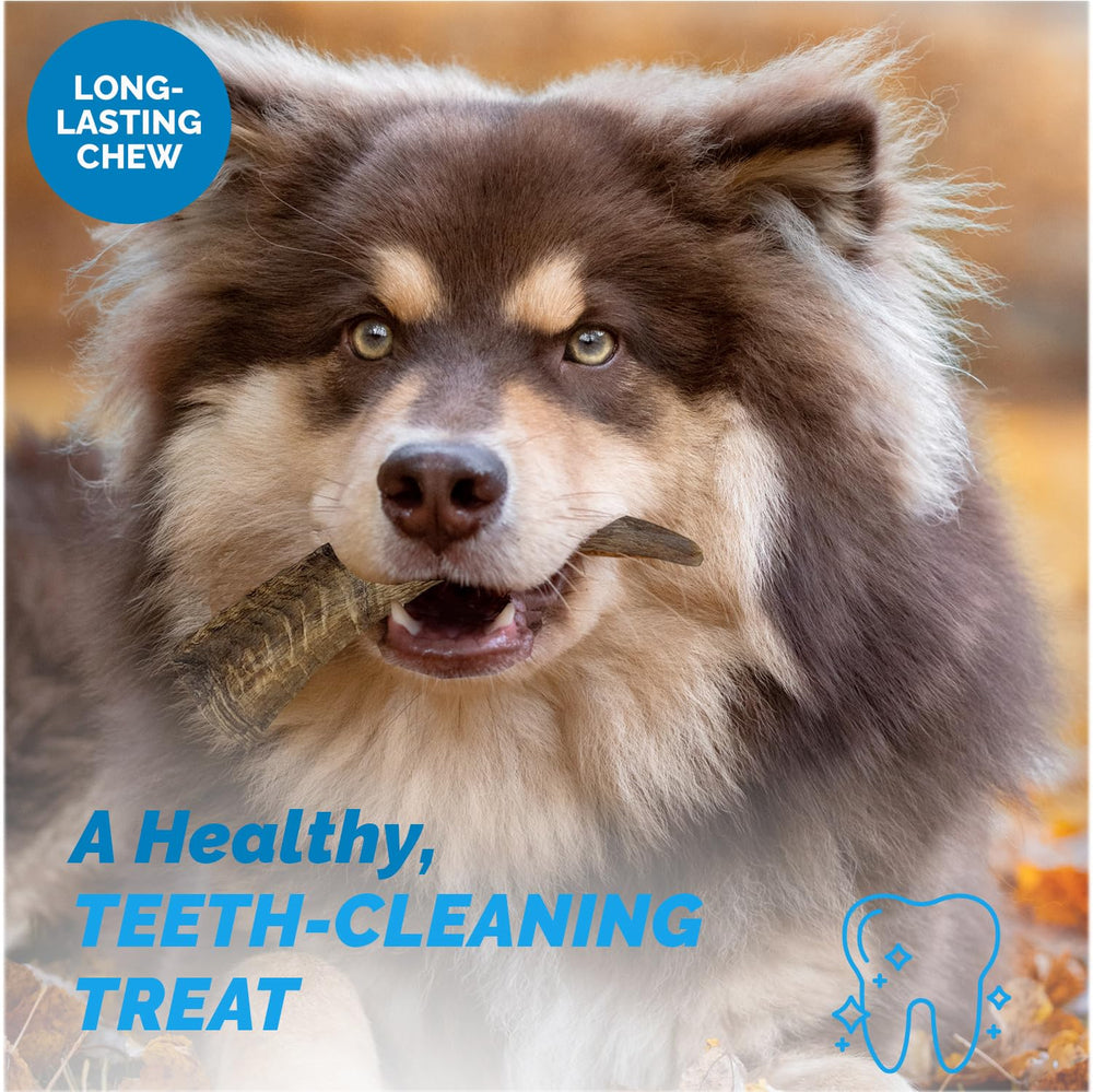 123 Treats keratin-rich horn: benefits for coat and skin wellness during chewing.
