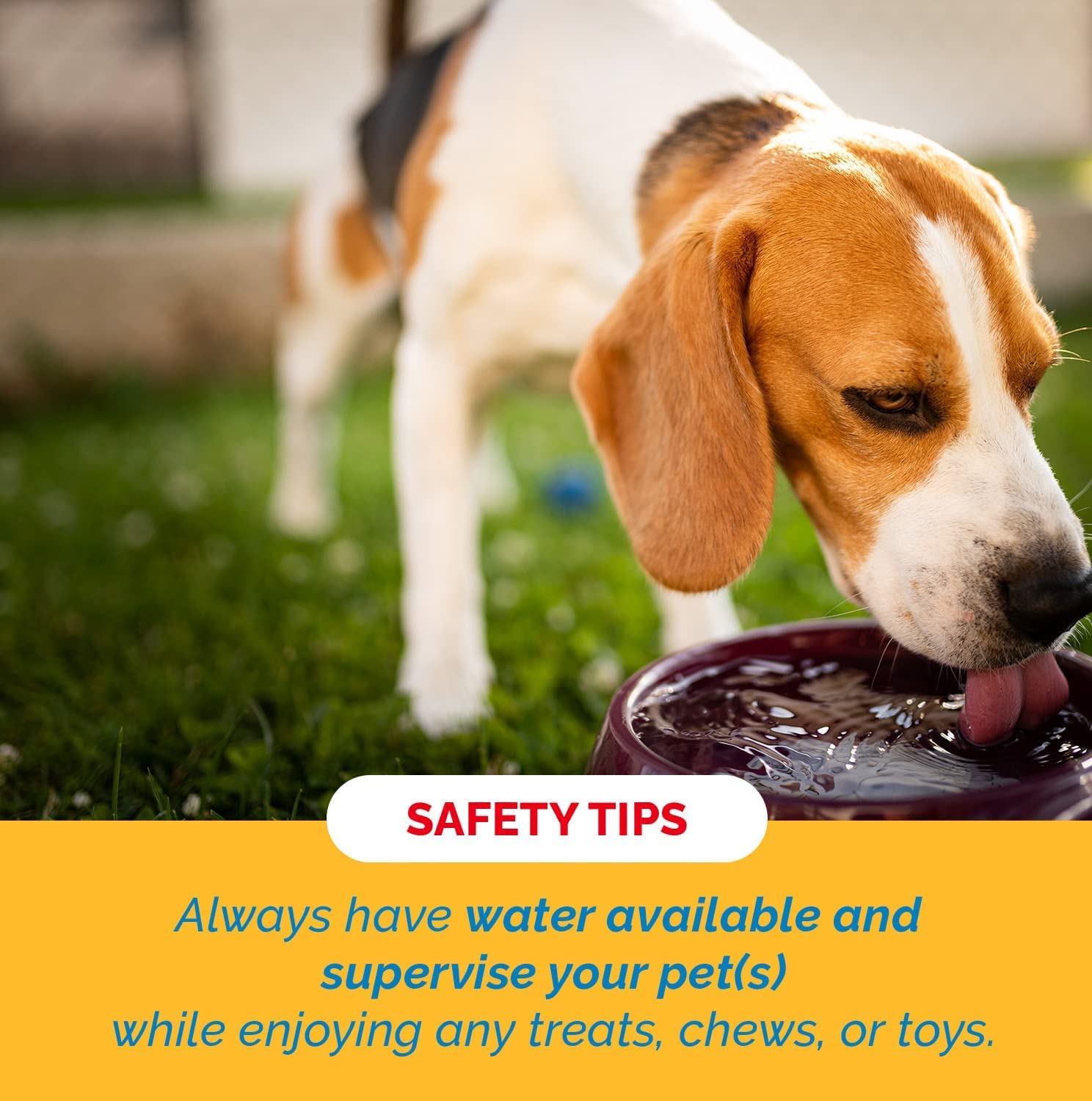 123 Treats durable horn chew: reduces destructive chewing through engaging satisfaction.