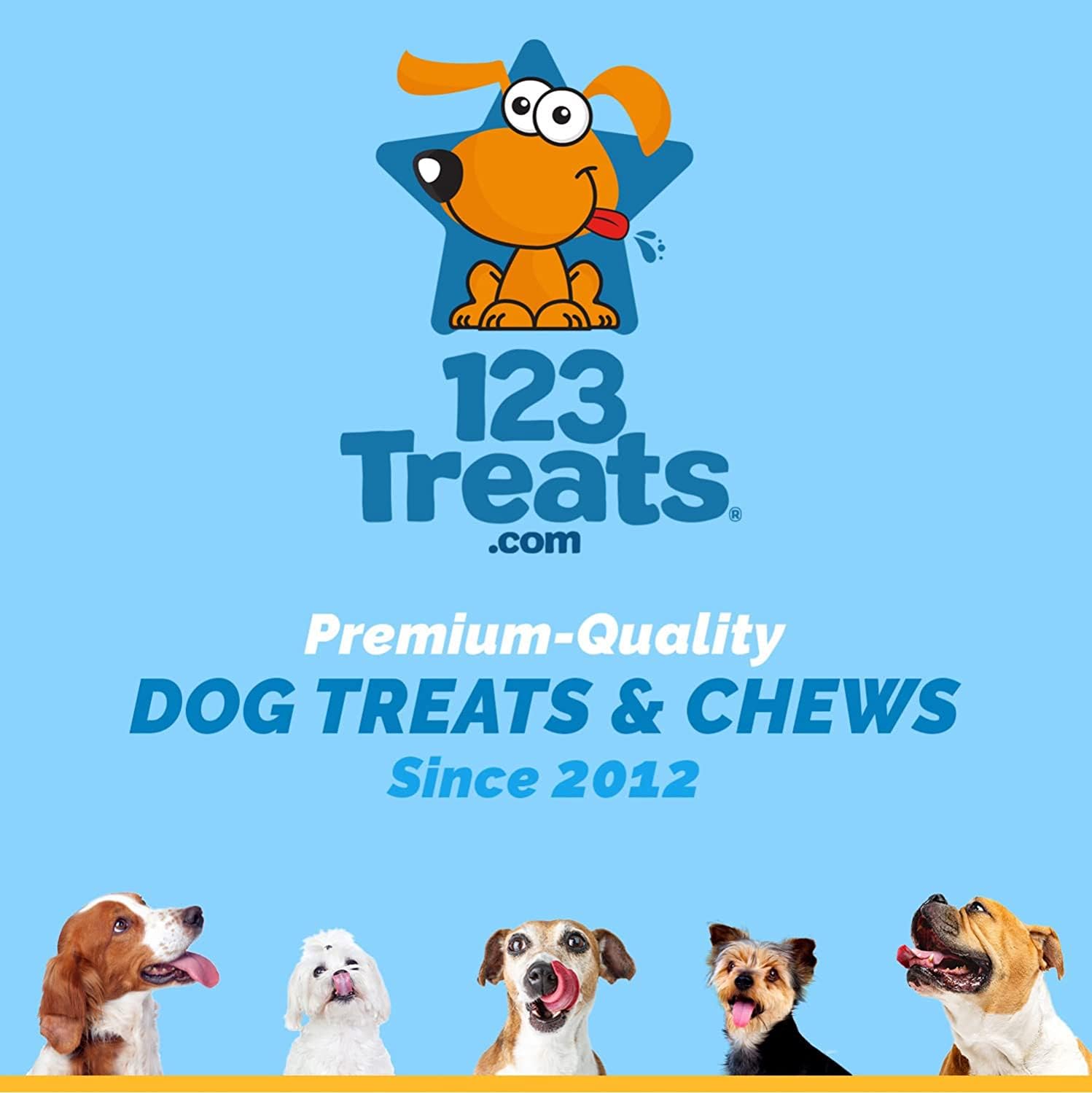 123 Treats two-count packaging: convenient natural treat for large dogs.