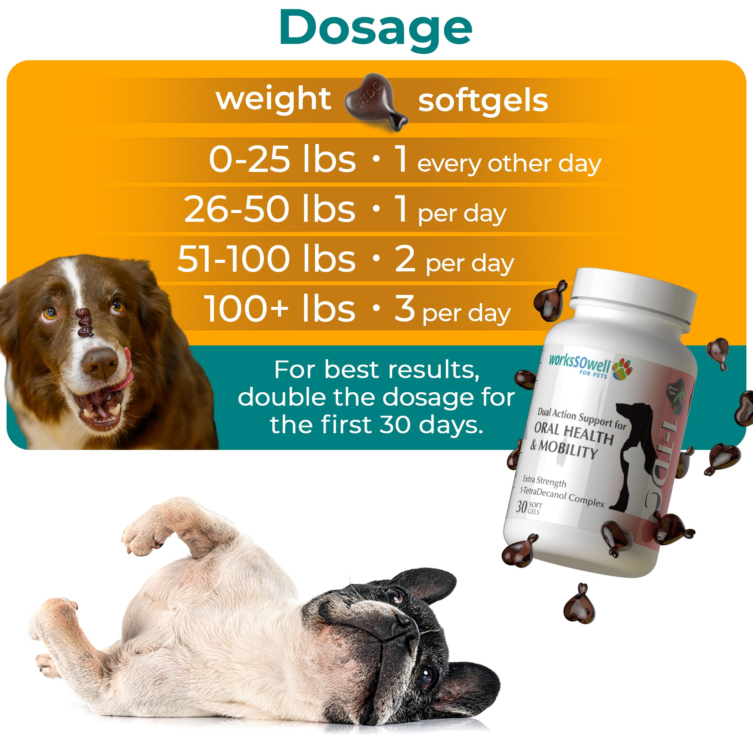 1-TDC WorksSoWell active dog in motion highlighting mobility.