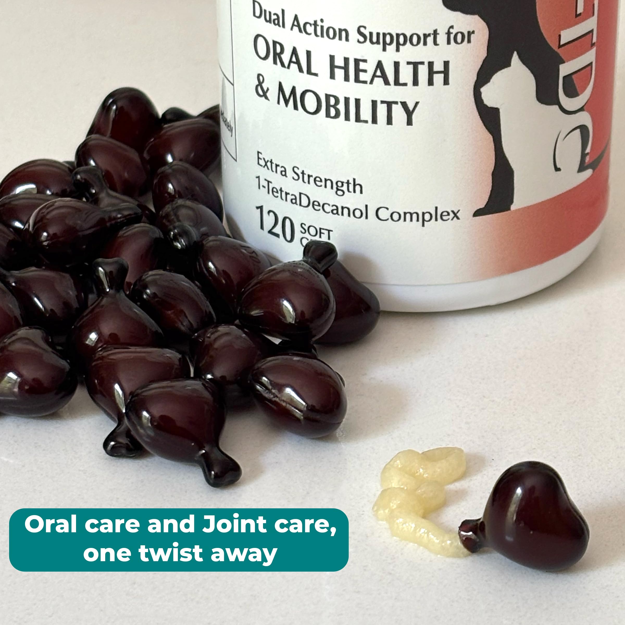 1-TDC WorksSoWell all-age-mobility image highlights pets moving confidently at any age