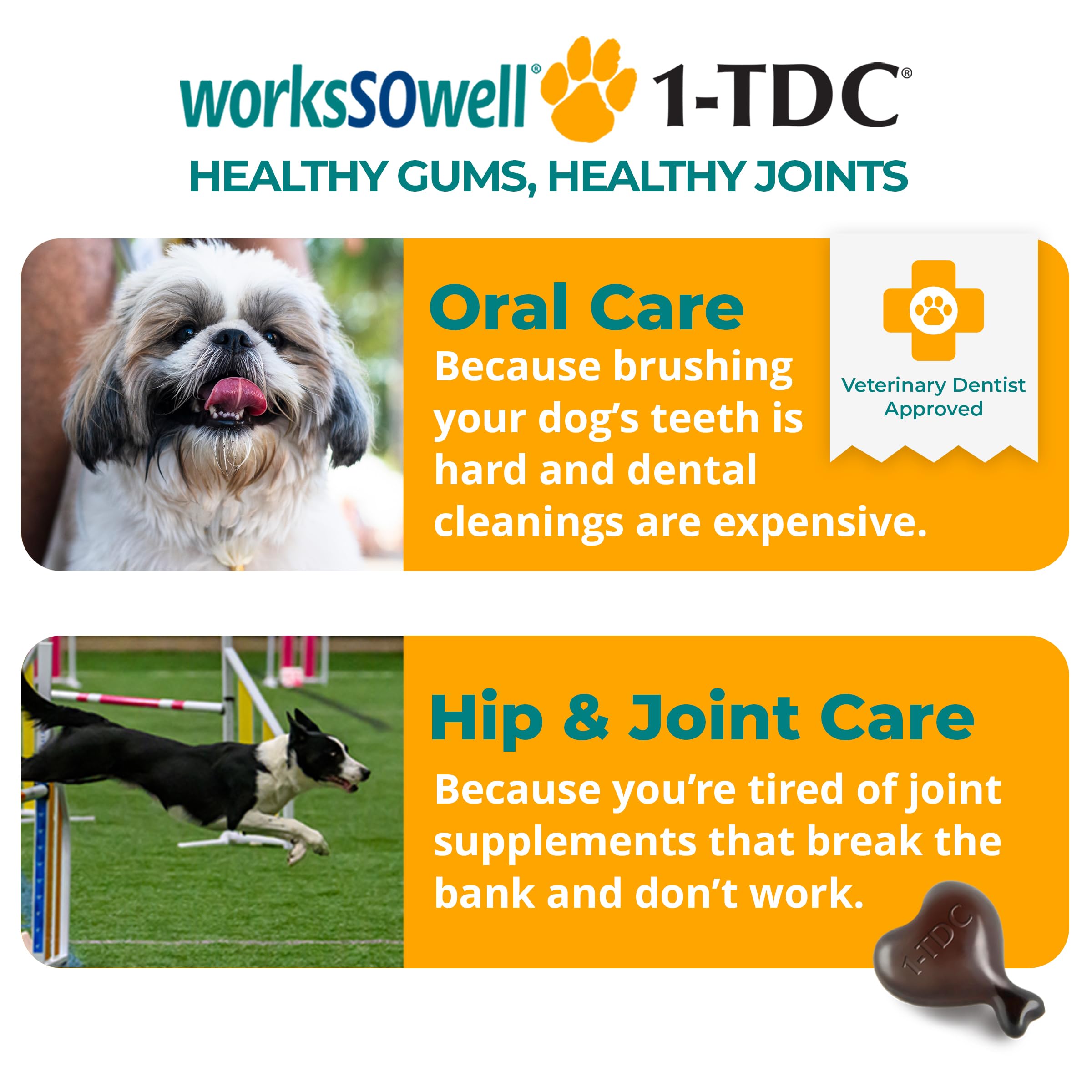 1-TDC WorksSoWell joint mobility image shows dogs and cats enjoying daily activity