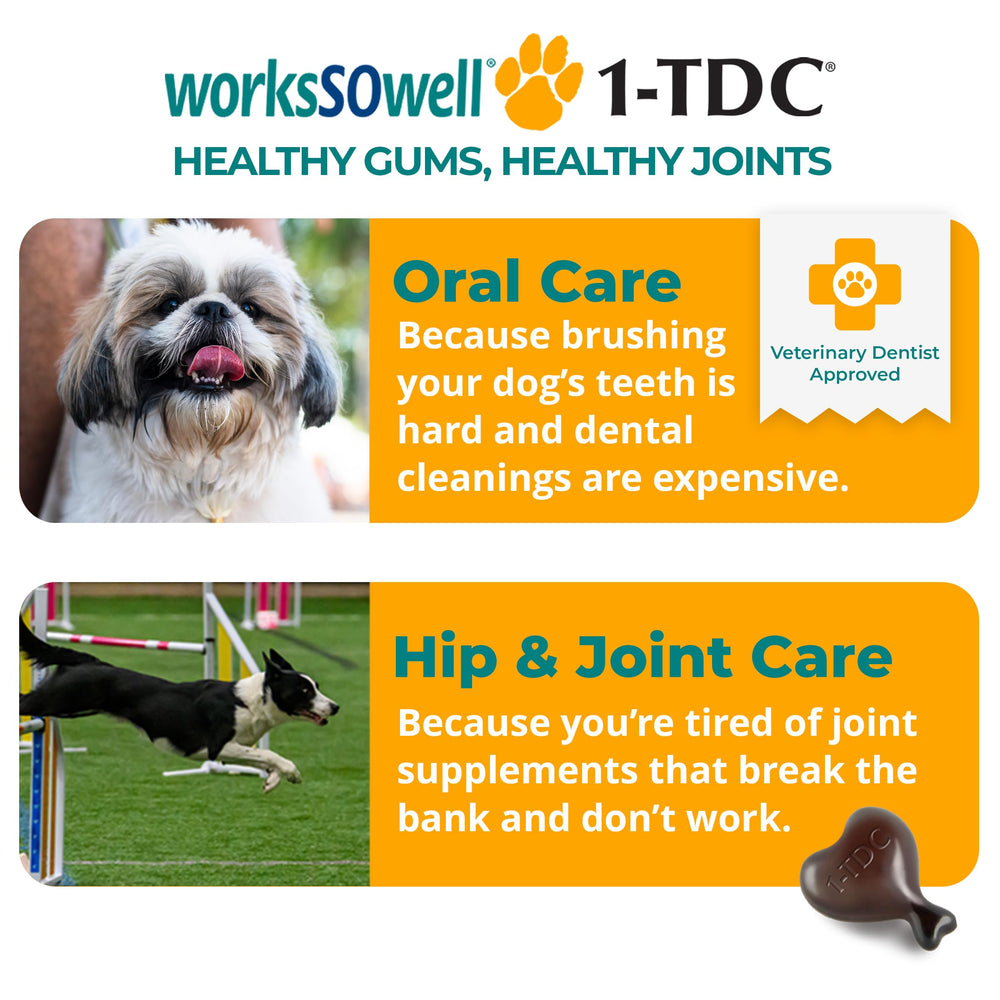 1-TDC WorksSoWell joint mobility image shows dogs and cats enjoying daily activity