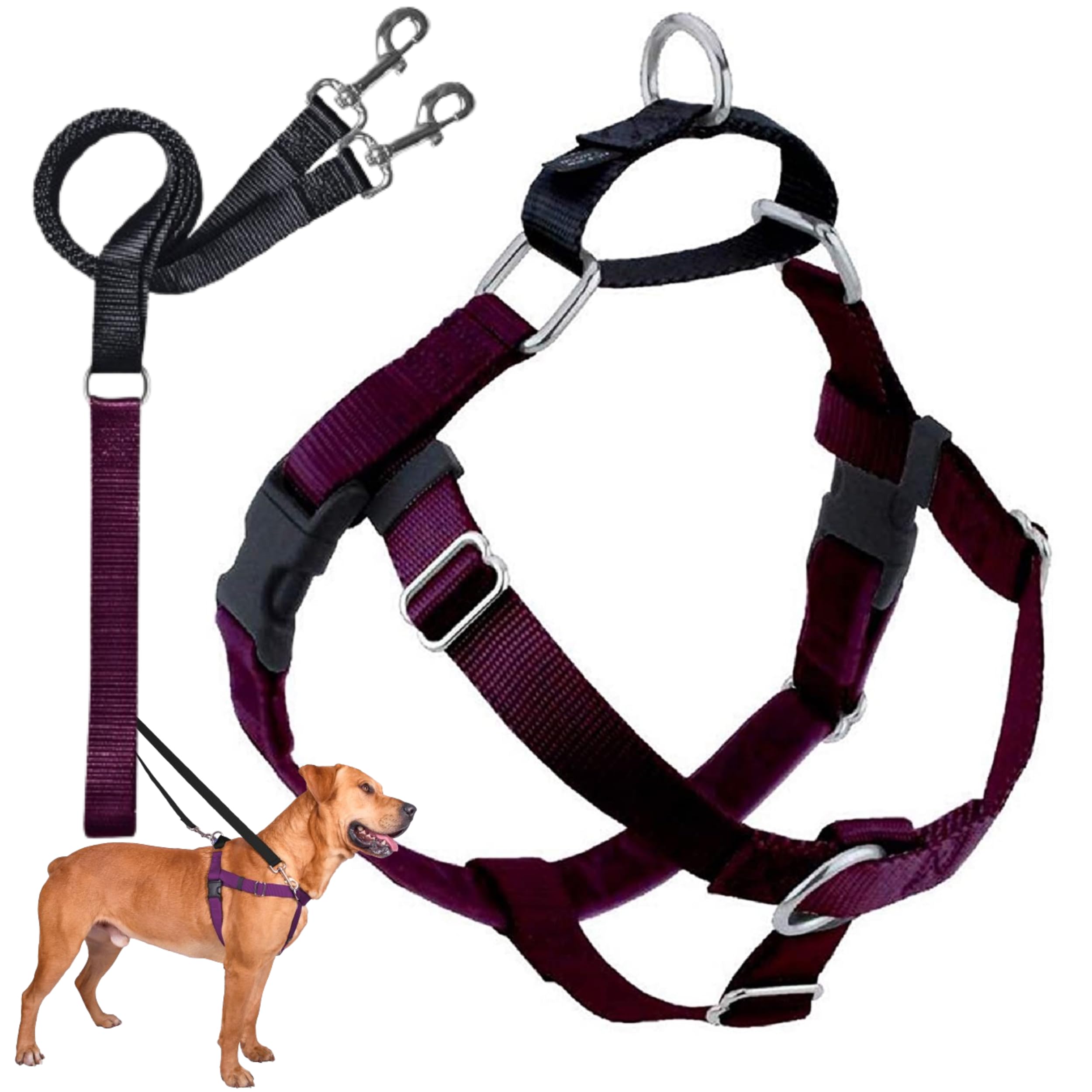 2 Hounds Design Freedom No Pull Harness front strap shows balanced pressure for comfortable walks
