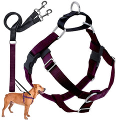 2 Hounds Design Freedom No Pull Harness front strap shows balanced pressure for comfortable walks