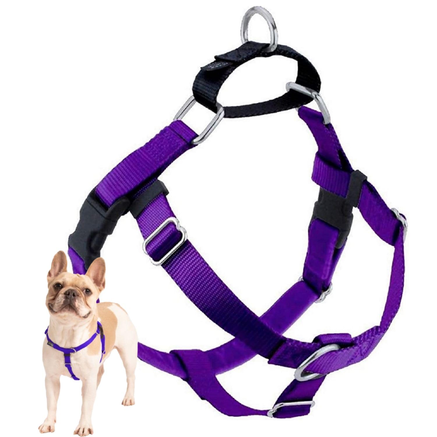 2 Hounds Design Freedom No Pull Harness front view shows secure control for stress-free walks