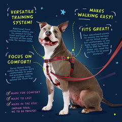 2 Hounds Design Freedom No-Pull Harness Swiss Velvet lining delivers soft comfort.