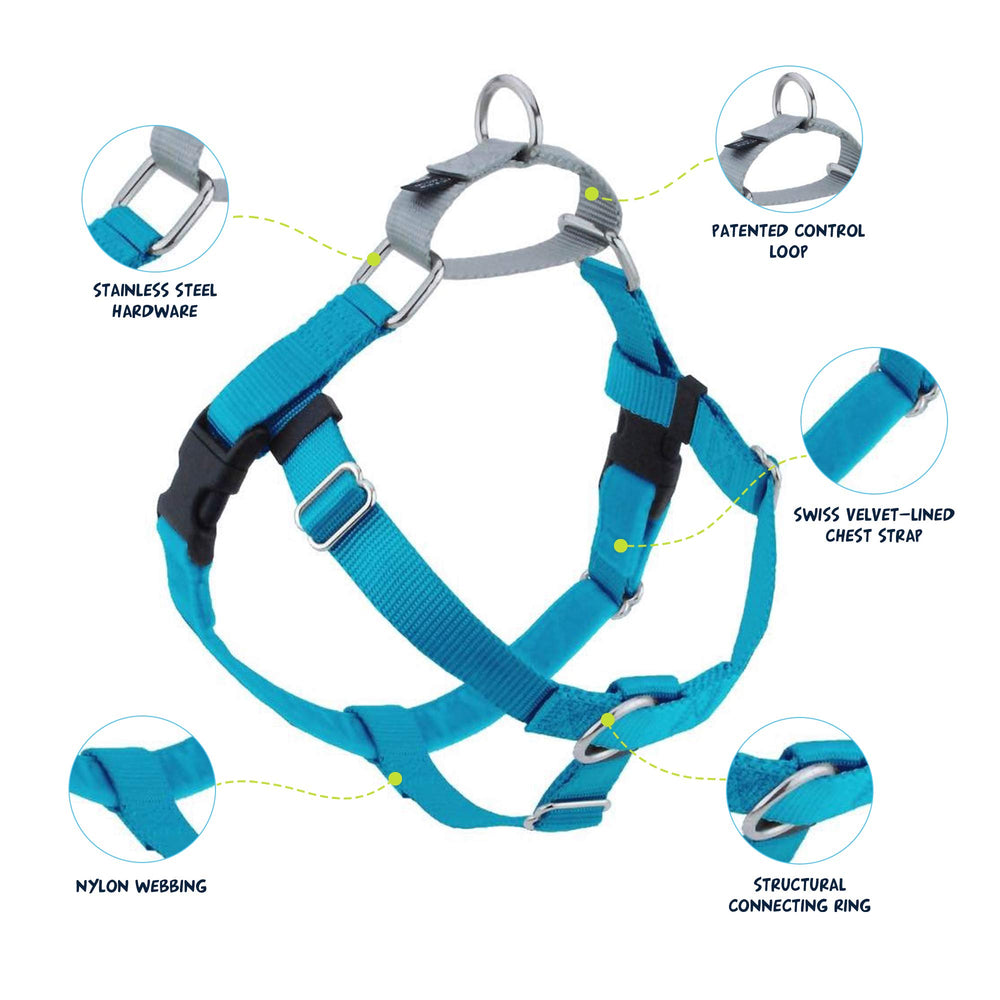 2 Hounds Design Freedom No Pull Harness turquoise adjustable points highlight easy fit and even pressure.