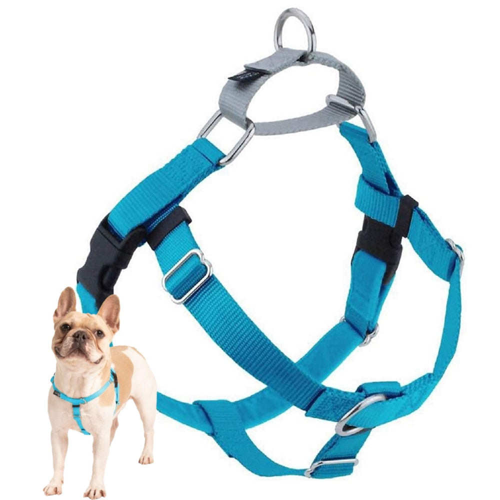 2 Hounds Design Freedom No Pull Harness turquoise front view for smoother, controlled walks.