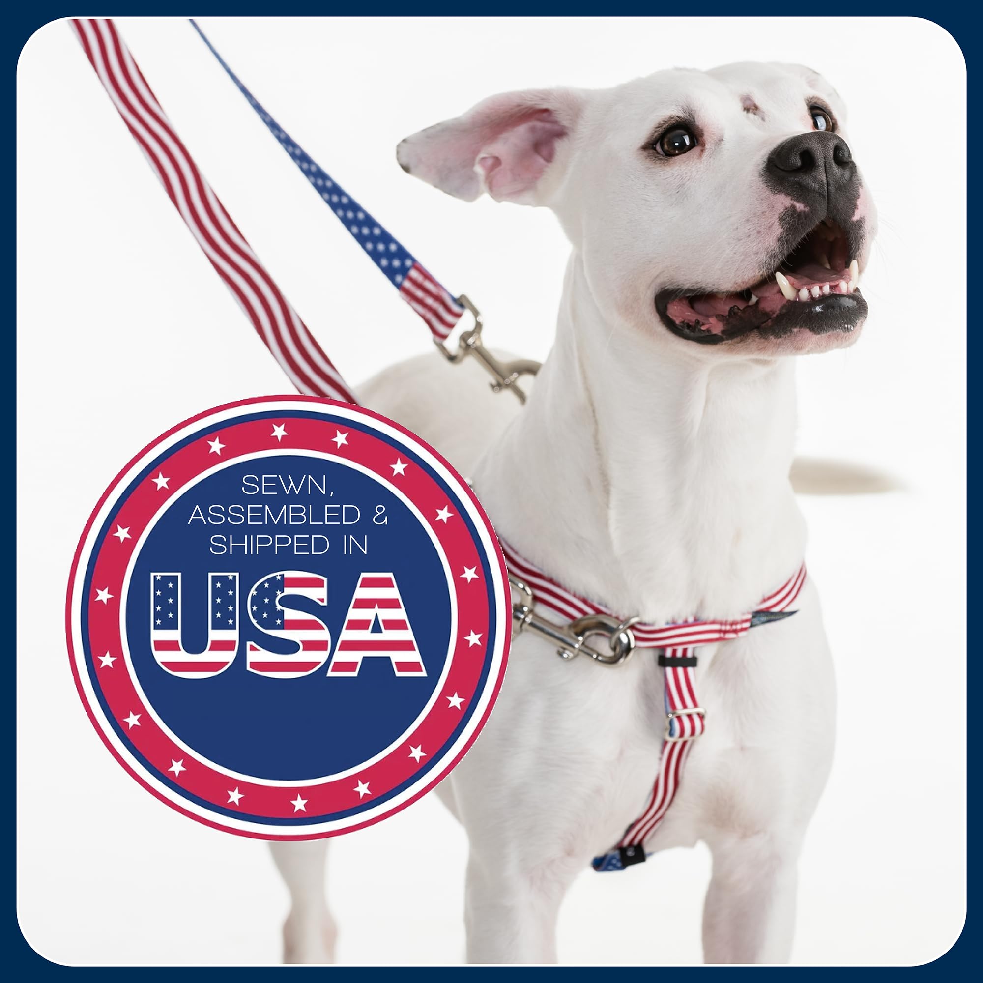 2 Hounds Design four-point adjustable fit creates a snug, customized feel