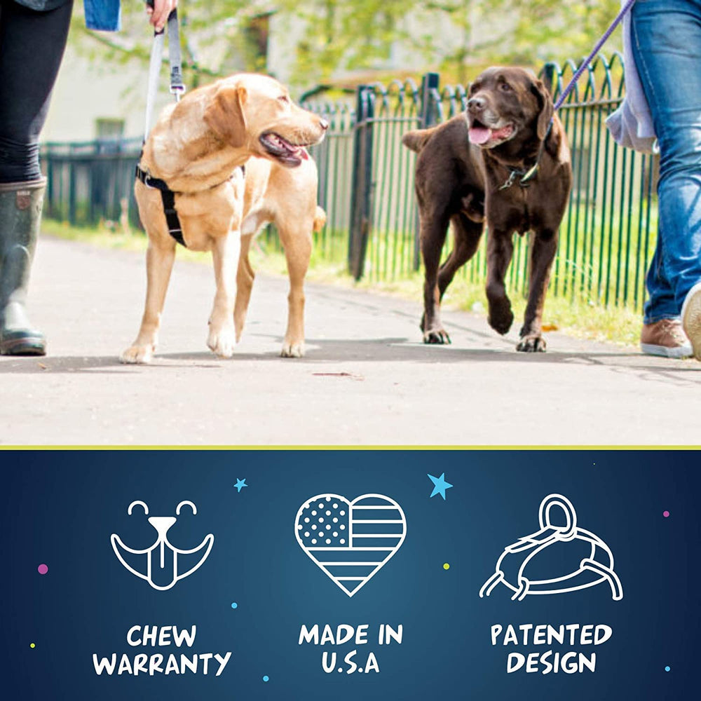 2 Hounds Design Freedom No Pull Harness adjustable points illustrate versatile sizing for dogs