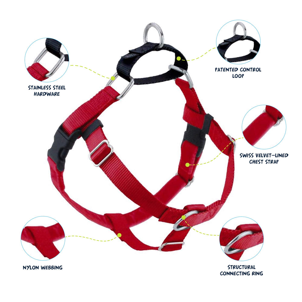 2 Hounds Design Freedom No Pull Harness back view demonstrates secure fit for daily adventures