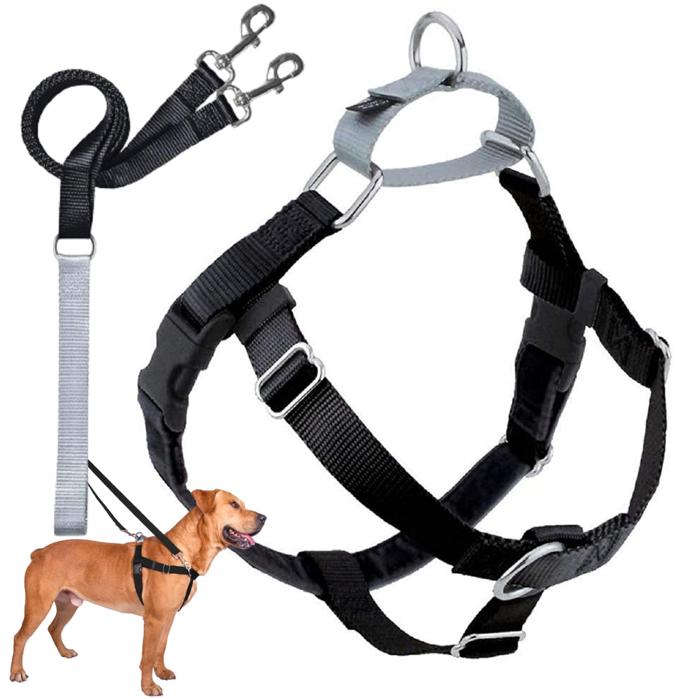 2 Hounds Design Freedom No Pull harness front view for smoother walks