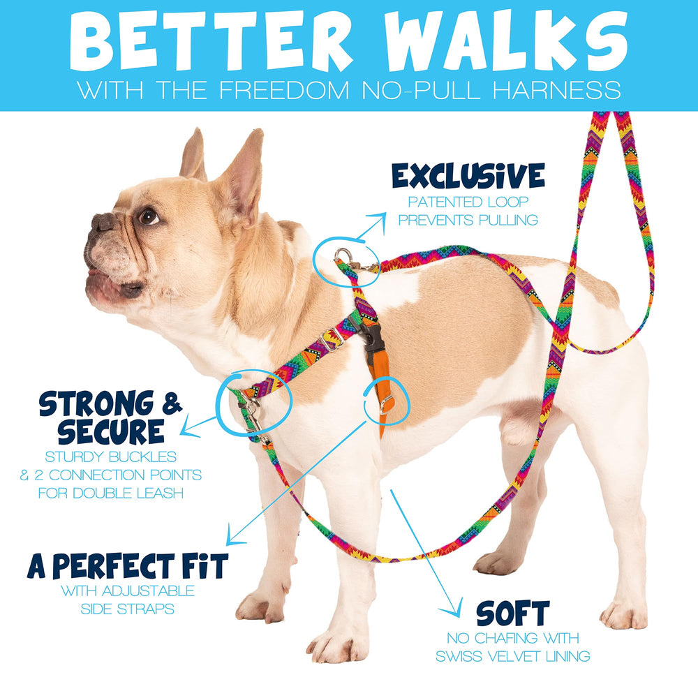 2 Hounds Design dual-clip training leash supports balanced training sessions