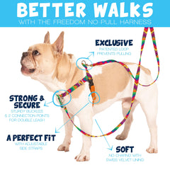 2 Hounds Design dual-clip training leash supports balanced training sessions