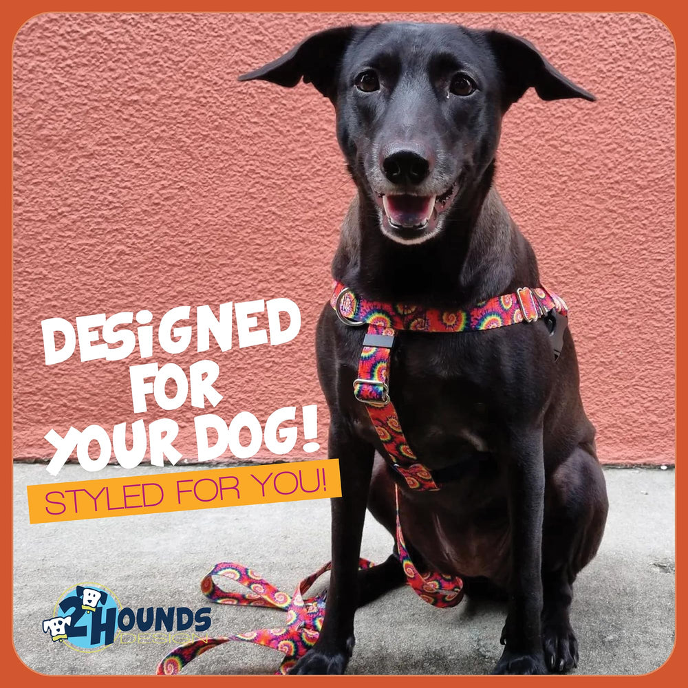 2 Hounds Design versatile leash configurations for training versatility